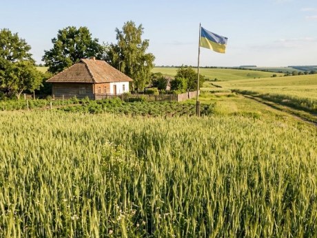 Пайовики заявили про оренду землі без згоди: справу розглядає суд