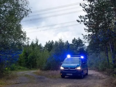 У Німеччині біля ЛЕП знешкодили 21 вибуховий пристрій