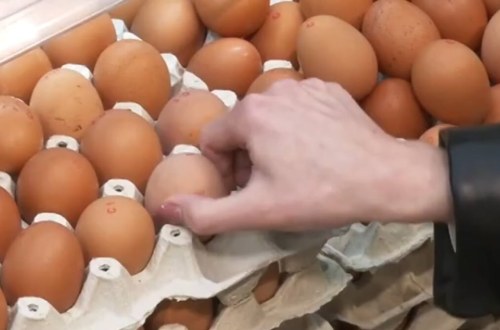 Смертельна загроза у яйцях
